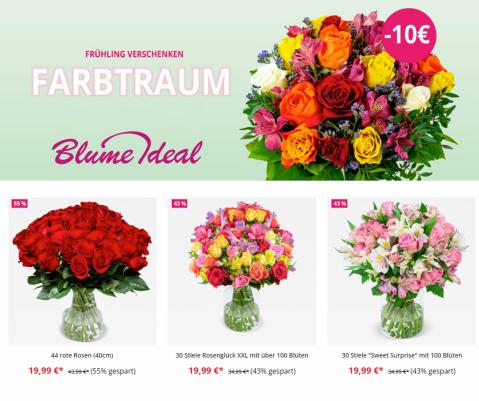 Blume Ideal Katalog | Aktuelle Angebote | 28.3.2022 - 10.4.2022