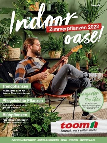 toom Baumarkt Katalog in Berlin | Zimmerpflanzen 2022 | 12.5.2022 - 31.7.2022