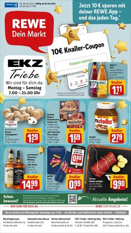 REWE Katalog in Dortmund | Dein Markt | 25.9.2022 - 1.10.2022